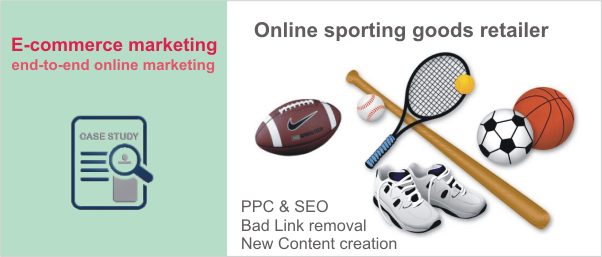 Rescued Sport goods e-commerce website from lost web organic traffic
